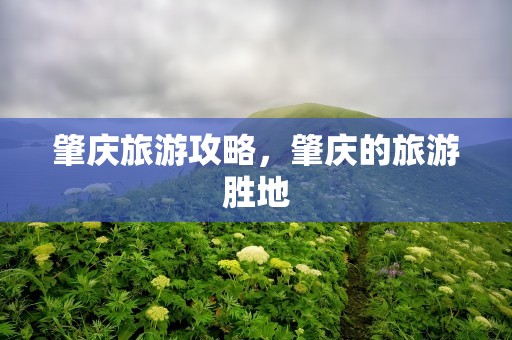 肇庆旅游攻略，肇庆的旅游胜地