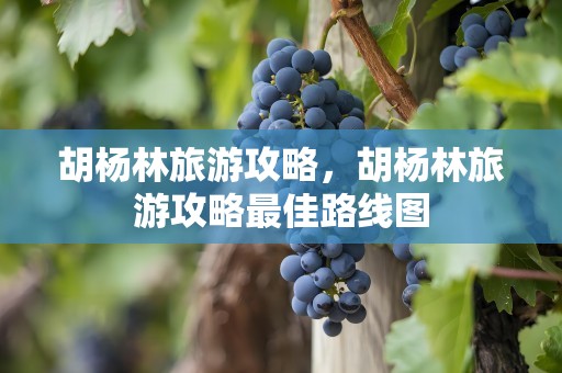 胡杨林旅游攻略，胡杨林旅游攻略最佳路线图