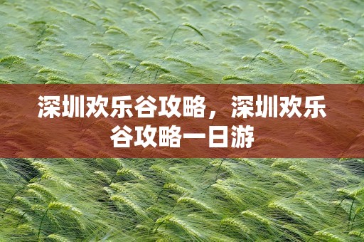 深圳欢乐谷攻略，深圳欢乐谷攻略一日游