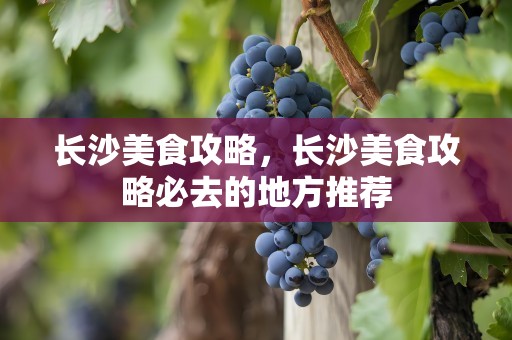 长沙美食攻略，长沙美食攻略必去的地方推荐