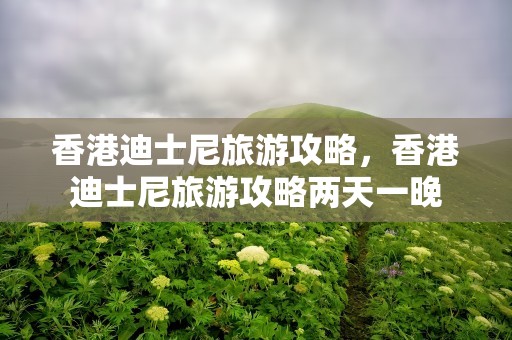 香港迪士尼旅游攻略，香港迪士尼旅游攻略两天一晚