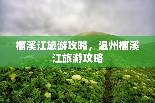 楠溪江旅游攻略，温州楠溪江旅游攻略