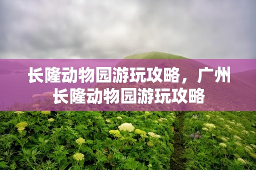 长隆动物园游玩攻略，广州长隆动物园游玩攻略