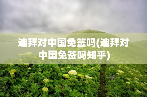 迪拜对中国免签吗(迪拜对中国免签吗知乎)