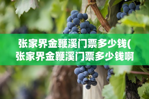 张家界金鞭溪门票多少钱(张家界金鞭溪门票多少钱啊)