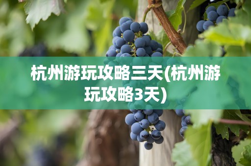 杭州游玩攻略三天(杭州游玩攻略3天)