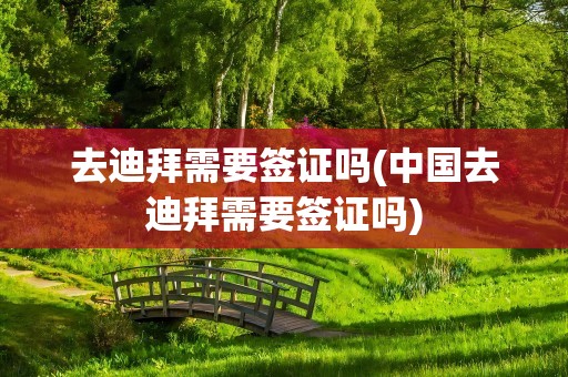 去迪拜需要签证吗(中国去迪拜需要签证吗)