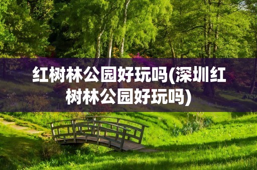 红树林公园好玩吗(深圳红树林公园好玩吗)