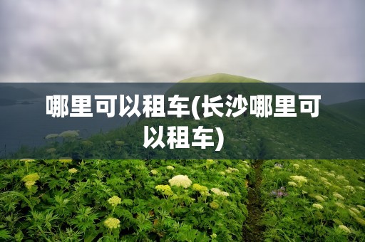 哪里可以租车(长沙哪里可以租车)