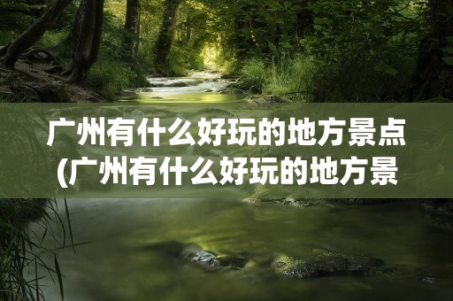 广州有什么好玩的地方景点(广州有什么好玩的地方景点推荐)
