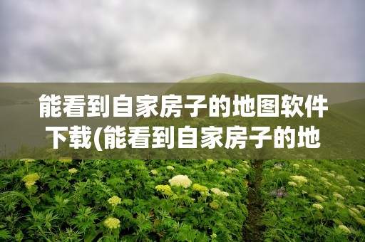 能看到自家房子的地图软件下载(能看到自家房子的地图软件下载免费)