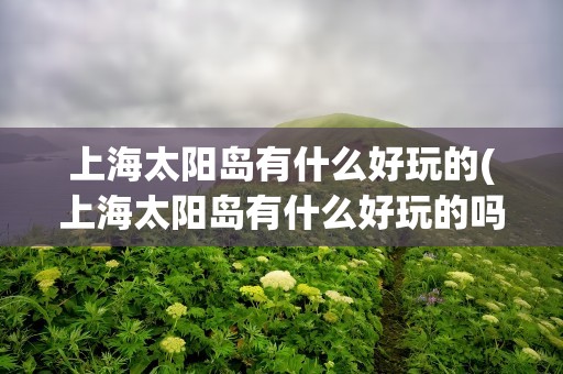上海太阳岛有什么好玩的(上海太阳岛有什么好玩的吗)