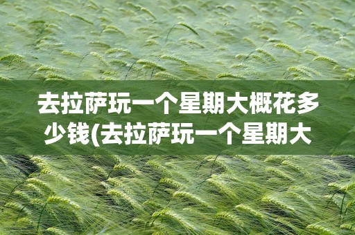 去拉萨玩一个星期大概花多少钱(去拉萨玩一个星期大概花多少钱呢)