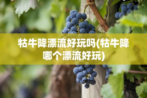牯牛降漂流好玩吗(牯牛降哪个漂流好玩)