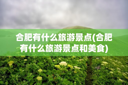 合肥有什么旅游景点(合肥有什么旅游景点和美食)