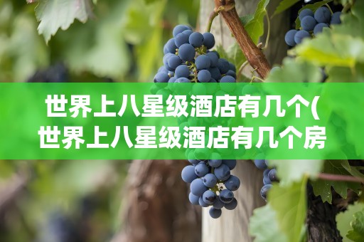 世界上八星级酒店有几个(世界上八星级酒店有几个房间)