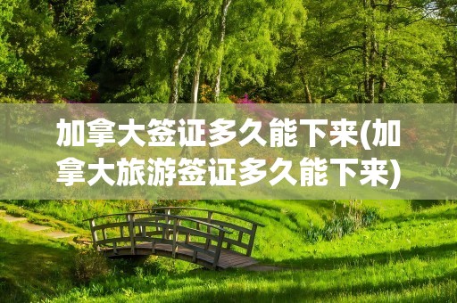 加拿大签证多久能下来(加拿大旅游签证多久能下来)