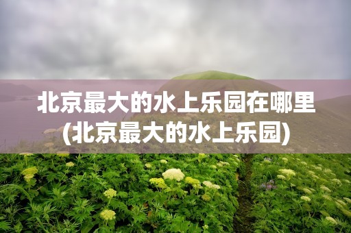 北京最大的水上乐园在哪里(北京最大的水上乐园)