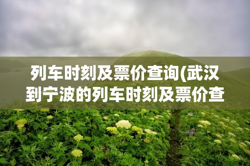 列车时刻及票价查询(武汉到宁波的列车时刻及票价查询)