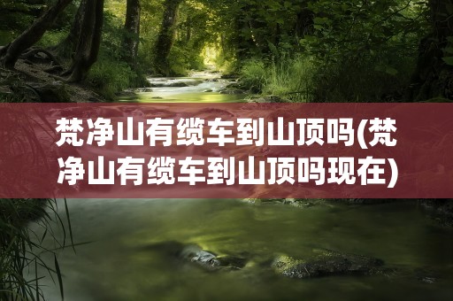 梵净山有缆车到山顶吗(梵净山有缆车到山顶吗现在)