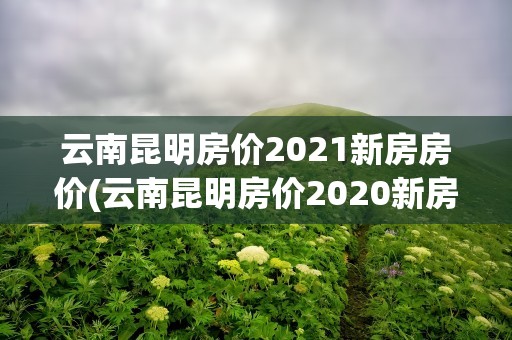 云南昆明房价2021新房房价(云南昆明房价2020新房房价)