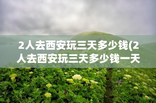 2人去西安玩三天多少钱(2人去西安玩三天多少钱一天)