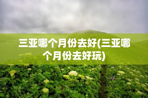 三亚哪个月份去好(三亚哪个月份去好玩)
