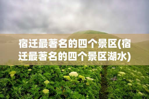 宿迁最著名的四个景区(宿迁最著名的四个景区湖水)