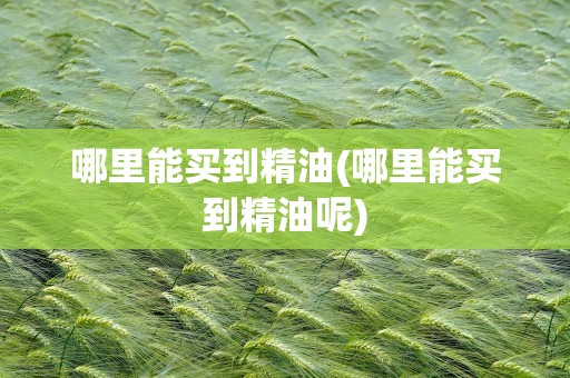 哪里能买到精油(哪里能买到精油呢)