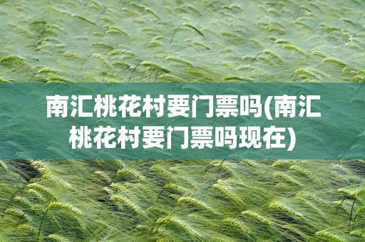 南汇桃花村要门票吗(南汇桃花村要门票吗现在)