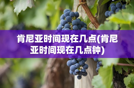 肯尼亚时间现在几点(肯尼亚时间现在几点钟)