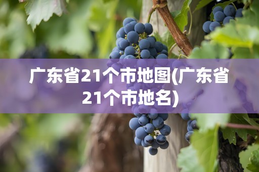 广东省21个市地图(广东省21个市地名)
