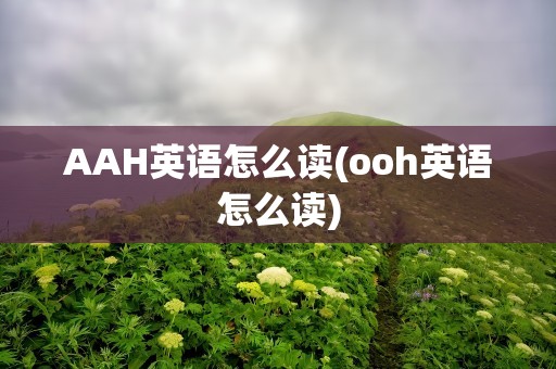 AAH英语怎么读(ooh英语怎么读)