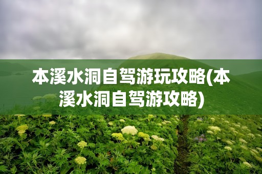 本溪水洞自驾游玩攻略(本溪水洞自驾游攻略)
