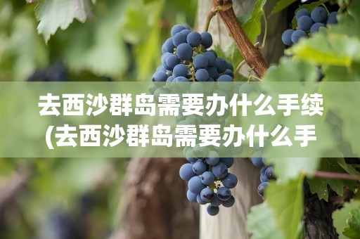 去西沙群岛需要办什么手续(去西沙群岛需要办什么手续吗)