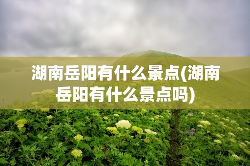 湖南岳阳有什么景点(湖南岳阳有什么景点吗)