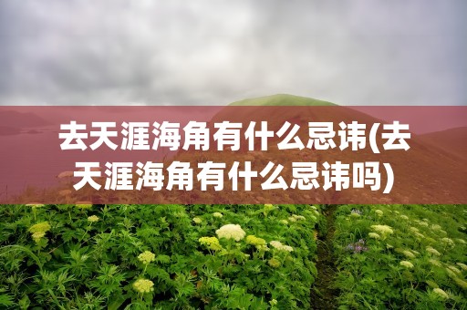 去天涯海角有什么忌讳(去天涯海角有什么忌讳吗)