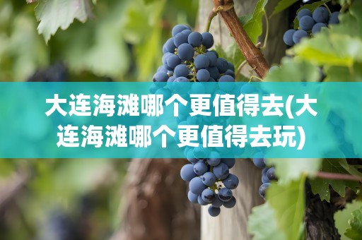 大连海滩哪个更值得去(大连海滩哪个更值得去玩)