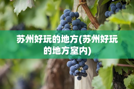 苏州好玩的地方(苏州好玩的地方室内)