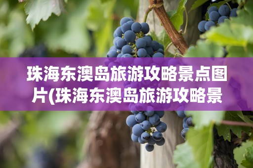 珠海东澳岛旅游攻略景点图片(珠海东澳岛旅游攻略景点图片大全)
