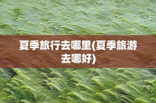 夏季旅行去哪里(夏季旅游去哪好)