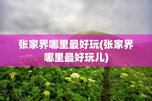 张家界哪里最好玩(张家界哪里最好玩儿)