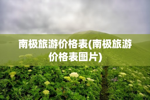南极旅游价格表(南极旅游价格表图片)