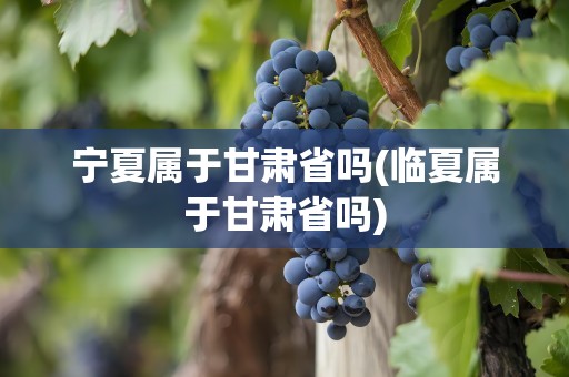 宁夏属于甘肃省吗(临夏属于甘肃省吗)