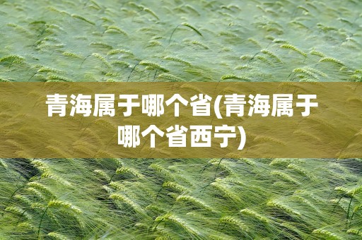 青海属于哪个省(青海属于哪个省西宁)