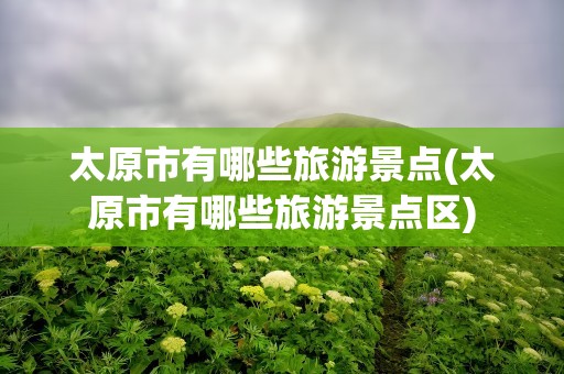 太原市有哪些旅游景点(太原市有哪些旅游景点区)