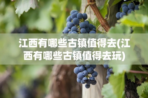 江西有哪些古镇值得去(江西有哪些古镇值得去玩)