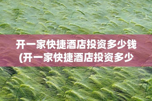 开一家快捷酒店投资多少钱(开一家快捷酒店投资多少钱啊)