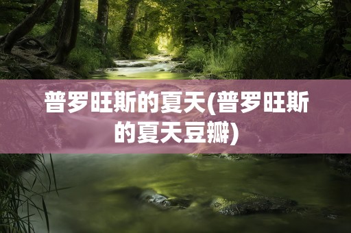 普罗旺斯的夏天(普罗旺斯的夏天豆瓣)