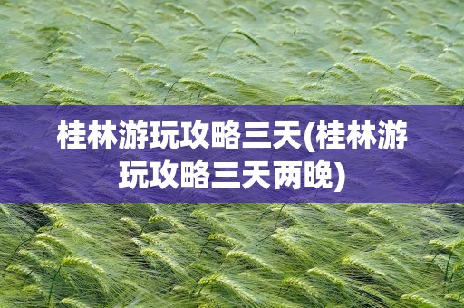 桂林游玩攻略三天(桂林游玩攻略三天两晚)
